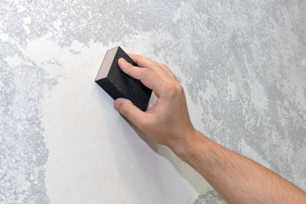 Reliable Cambridge City, IN Mold Removal Solutions