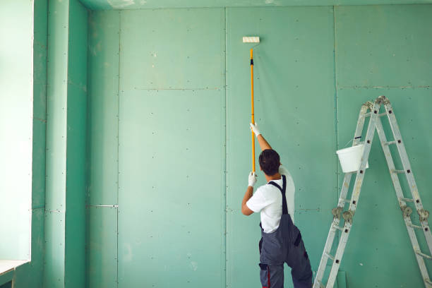 Best Mold Documentation for Insurance Claims  in Cambridge City, IN