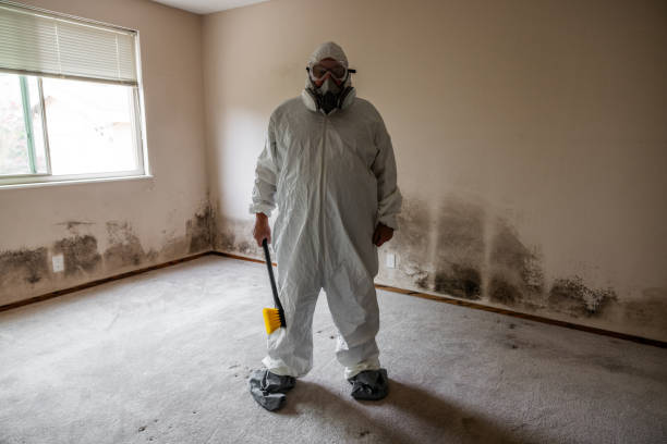 Best Mold Removal for HVAC Installations  in Cambridge City, IN